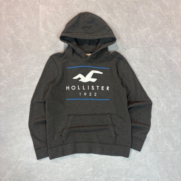 Hollister Other - Hollister Mens Charcoal Grey Graphic Logo Hoodie Sweatshirt Small 1922 Seagull